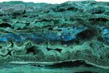 Brilliant Teal Botryoidal Chrysocolla and Malachite - Chile #299543-1